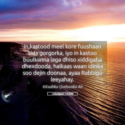 Picture 05 - Cobadyaah 1:4 SOM - In kastood meel kore fuushaan sida gorgorka, iyo - Bible Verse Picture