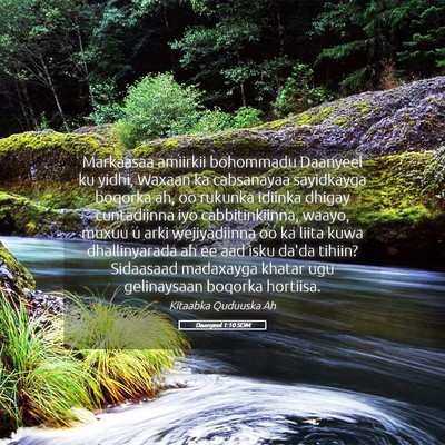 Picture 05 - Daanyeel 1:10 SOM - Markaasaa amiirkii bohommadu Daanyeel ku yidhi, - Bible Verse Picture