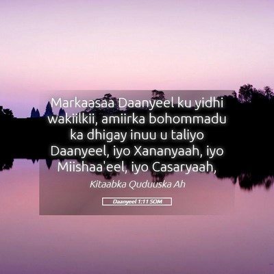 Picture 05 - Daanyeel 1:11 SOM - Markaasaa Daanyeel ku yidhi wakiilkii, amiirka - Bible Verse Picture