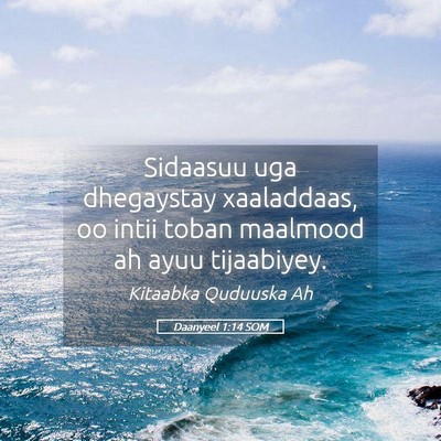 Picture 05 - Daanyeel 1:14 SOM - Sidaasuu uga dhegaystay xaaladdaas, oo intii - Bible Verse Picture