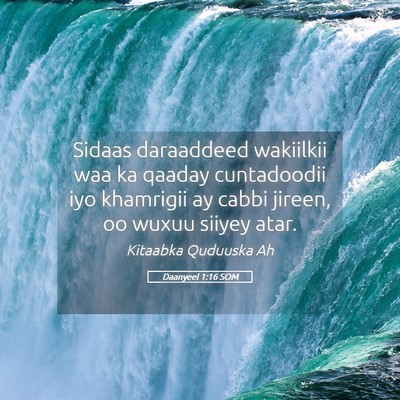 Picture 05 - Daanyeel 1:16 SOM - Sidaas daraaddeed wakiilkii waa ka qaaday - Bible Verse Picture