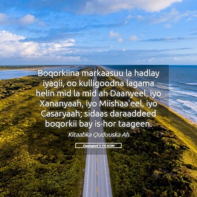 Picture 05 - Daanyeel 1:19 SOM - Boqorkiina markaasuu la hadlay iyagii, oo - Bible Verse Picture