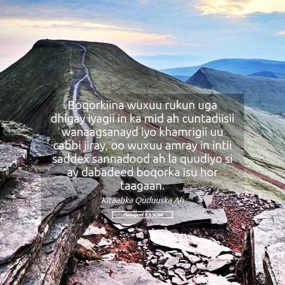 Picture 05 - Daanyeel 1:5 SOM - Boqorkiina wuxuu rukun uga dhigay iyagii in ka - Bible Verse Picture