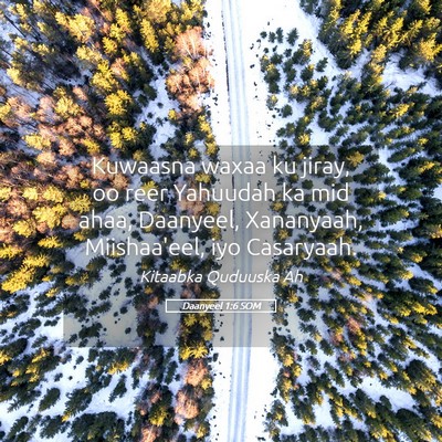 Picture 05 - Daanyeel 1:6 SOM - Kuwaasna waxaa ku jiray, oo reer Yahuudah ka mid - Bible Verse Picture