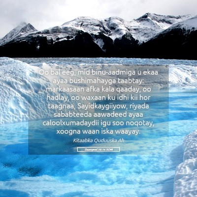 Picture 05 - Daanyeel 10:16 SOM - Oo bal eeg, mid binu-aadmiga u ekaa ayaa - Bible Verse Picture