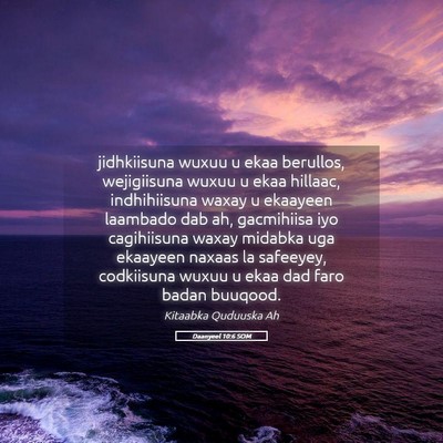 Picture 05 - Daanyeel 10:6 SOM - jidhkiisuna wuxuu u ekaa berullos, wejigiisuna - Bible Verse Picture