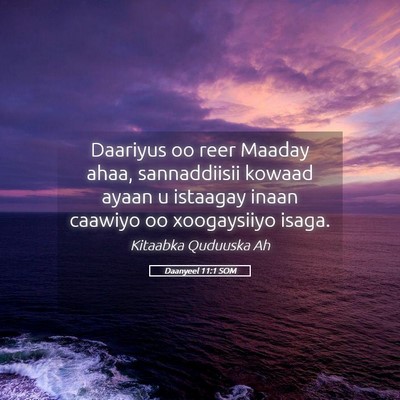 Picture 05 - Daanyeel 11:1 SOM - Daariyus oo reer Maaday ahaa, sannaddiisii kowaad - Bible Verse Picture