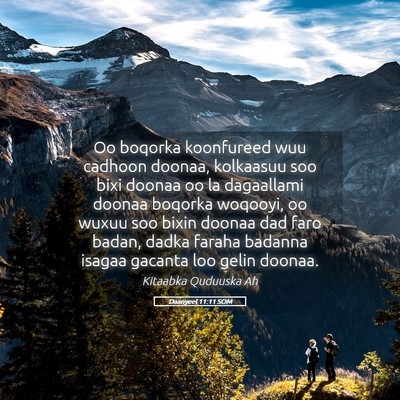 Picture 05 - Daanyeel 11:11 SOM - Oo boqorka koonfureed wuu cadhoon doonaa, - Bible Verse Picture