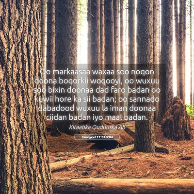 Picture 05 - Daanyeel 11:13 SOM - Oo markaasaa waxaa soo noqon doona boqorkii - Bible Verse Picture
