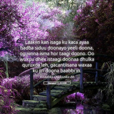 Picture 05 - Daanyeel 11:16 SOM - Laakiin kan isaga ku kaca ayaa hadba siduu - Bible Verse Picture