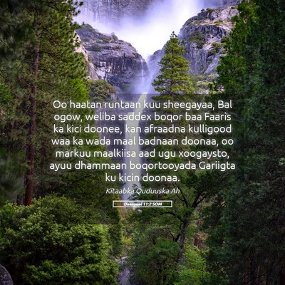 Picture 05 - Daanyeel 11:2 SOM - Oo haatan runtaan kuu sheegayaa, Bal ogow, weliba - Bible Verse Picture