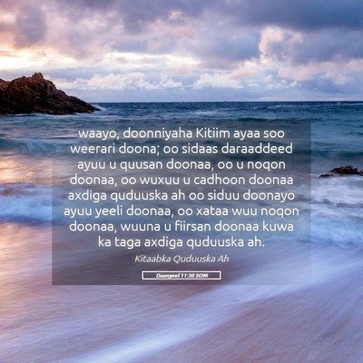 Picture 05 - Daanyeel 11:30 SOM - waayo, doonniyaha Kitiim ayaa soo weerari doona; - Bible Verse Picture