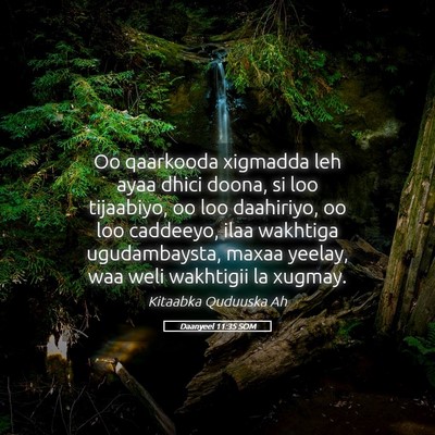 Picture 05 - Daanyeel 11:35 SOM - Oo qaarkooda xigmadda leh ayaa dhici doona, si - Bible Verse Picture