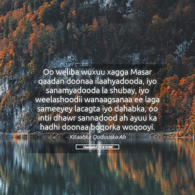 Picture 05 - Daanyeel 11:8 SOM - Oo weliba wuxuu xagga Masar qaadan doonaa - Bible Verse Picture