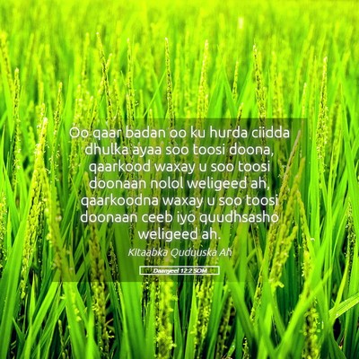Picture 05 - Daanyeel 12:2 SOM - Oo qaar badan oo ku hurda ciidda dhulka ayaa soo - Bible Verse Picture