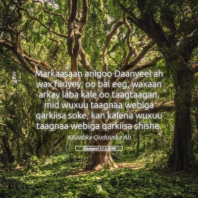 Picture 05 - Daanyeel 12:5 SOM - Markaasaan anigoo Daanyeel ah wax fiiriyey, oo - Bible Verse Picture