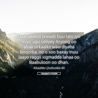 Picture 05 - Daanyeel 2:14 SOM - Daanyeelna jawaab buu talo iyo miyir ugu celiyey - Bible Verse Picture