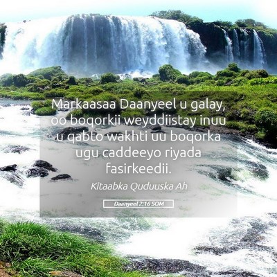Picture 05 - Daanyeel 2:16 SOM - Markaasaa Daanyeel u galay, oo boqorkii - Bible Verse Picture