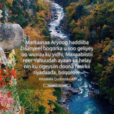 Picture 05 - Daanyeel 2:25 SOM - Markaasaa Aryoog haddiiba Daanyeel boqorka u soo - Bible Verse Picture