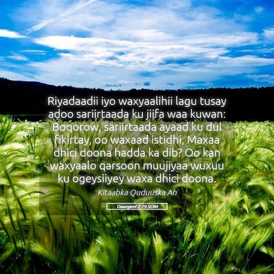 Picture 05 - Daanyeel 2:29 SOM - Riyadaadii iyo waxyaalihii lagu tusay adoo - Bible Verse Picture