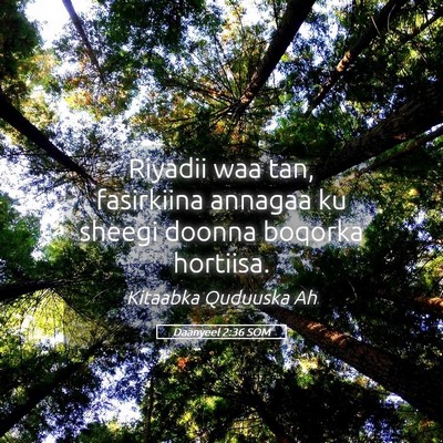 Picture 05 - Daanyeel 2:36 SOM - Riyadii waa tan, fasirkiina annagaa ku sheegi - Bible Verse Picture