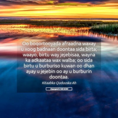 Picture 05 - Daanyeel 2:40 SOM - Oo boqortooyada afraadna waxay u xoog badnaan - Bible Verse Picture