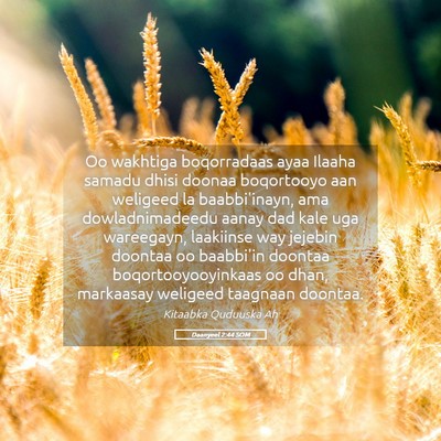 Picture 05 - Daanyeel 2:44 SOM - Oo wakhtiga boqorradaas ayaa Ilaaha samadu dhisi - Bible Verse Picture