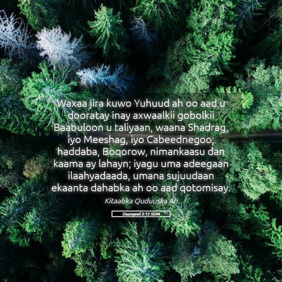 Picture 05 - Daanyeel 3:12 SOM - Waxaa jira kuwo Yuhuud ah oo aad u dooratay inay - Bible Verse Picture