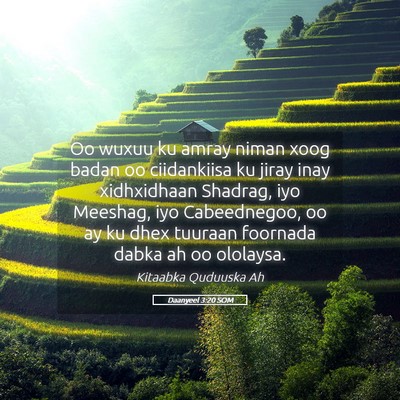Picture 05 - Daanyeel 3:20 SOM - Oo wuxuu ku amray niman xoog badan oo ciidankiisa - Bible Verse Picture