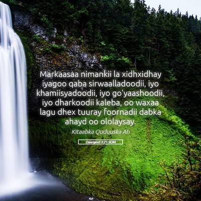 Picture 05 - Daanyeel 3:21 SOM - Markaasaa nimankii la xidhxidhay iyagoo qaba - Bible Verse Picture