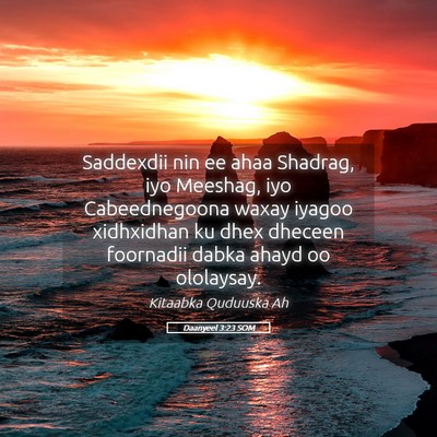 Picture 05 - Daanyeel 3:23 SOM - Saddexdii nin ee ahaa Shadrag, iyo Meeshag, iyo - Bible Verse Picture