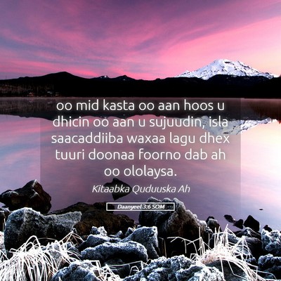 Picture 05 - Daanyeel 3:6 SOM - oo mid kasta oo aan hoos u dhicin oo aan u - Bible Verse Picture