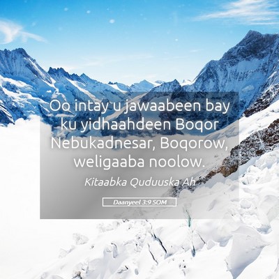 Picture 05 - Daanyeel 3:9 SOM - Oo intay u jawaabeen bay ku yidhaahdeen Boqor - Bible Verse Picture