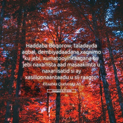 Picture 05 - Daanyeel 4:27 SOM - Haddaba Boqorow, taladayda aqbal, dembiyadaadana - Bible Verse Picture