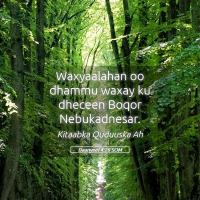 Picture 05 - Daanyeel 4:28 SOM - Waxyaalahan oo dhammu waxay ku dheceen Boqor - Bible Verse Picture