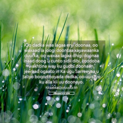 Picture 05 - Daanyeel 4:32 SOM - Oo dadka waa lagaa eryi doonaa, oo waxaad la - Bible Verse Picture