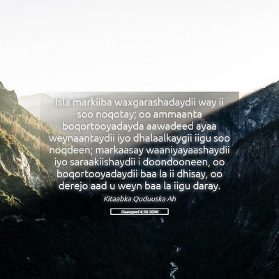 Picture 05 - Daanyeel 4:36 SOM - Isla markiiba waxgarashadaydii way ii soo - Bible Verse Picture