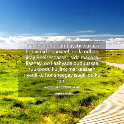 Picture 05 - Daanyeel 4:8 SOM - Laakiinse ugu dambaystii waxaa i hor yimid - Bible Verse Picture