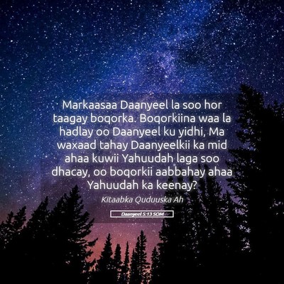 Picture 05 - Daanyeel 5:13 SOM - Markaasaa Daanyeel la soo hor taagay boqorka. - Bible Verse Picture