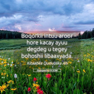 Picture 05 - Daanyeel 6:19 SOM - Boqorkii intuu aroor hore kacay ayuu degdeg u - Bible Verse Picture