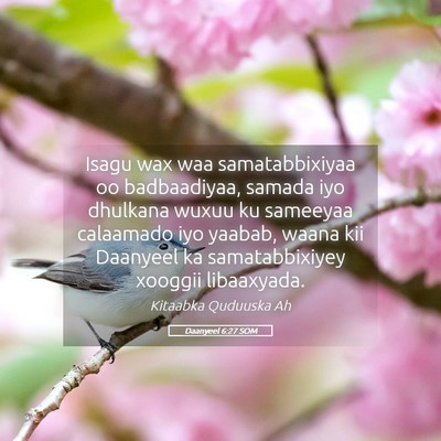 Picture 05 - Daanyeel 6:27 SOM - Isagu wax waa samatabbixiyaa oo badbaadiyaa, - Bible Verse Picture