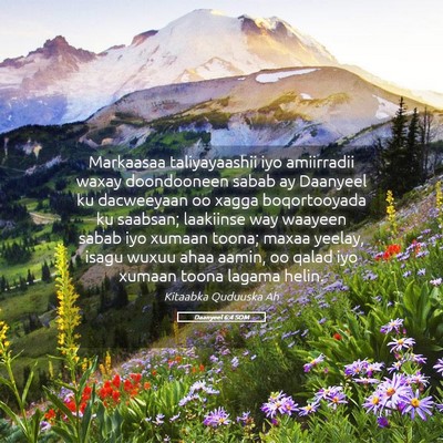 Picture 05 - Daanyeel 6:4 SOM - Markaasaa taliyayaashii iyo amiirradii waxay - Bible Verse Picture