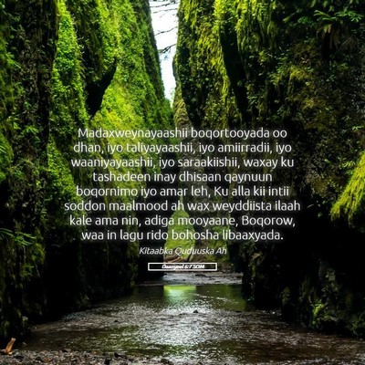 Picture 05 - Daanyeel 6:7 SOM - Madaxweynayaashii boqortooyada oo dhan, iyo - Bible Verse Picture