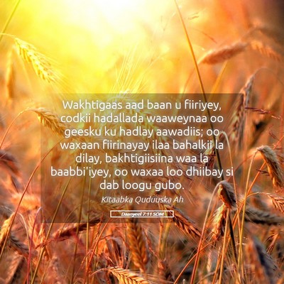 Picture 05 - Daanyeel 7:11 SOM - Wakhtigaas aad baan u fiiriyey, codkii hadallada - Bible Verse Picture