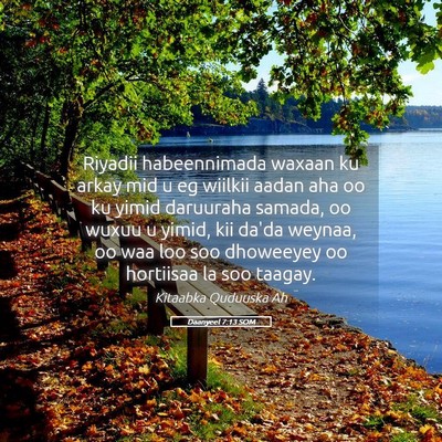 Picture 05 - Daanyeel 7:13 SOM - Riyadii habeennimada waxaan ku arkay mid u eg - Bible Verse Picture