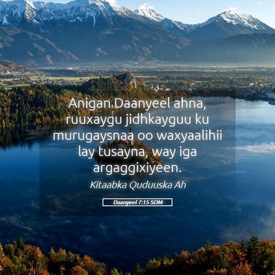 Picture 05 - Daanyeel 7:15 SOM - Anigan Daanyeel ahna, ruuxaygu jidhkayguu ku - Bible Verse Picture