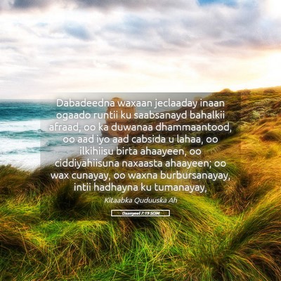 Picture 05 - Daanyeel 7:19 SOM - Dabadeedna waxaan jeclaaday inaan ogaado runtii - Bible Verse Picture