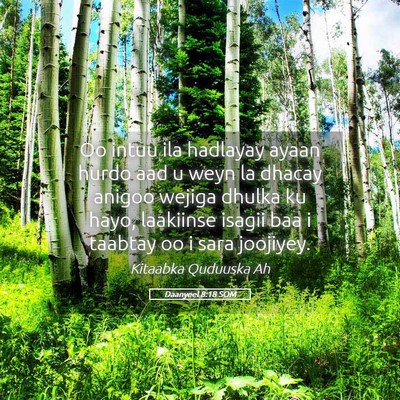 Picture 05 - Daanyeel 8:18 SOM - Oo intuu ila hadlayay ayaan hurdo aad u weyn la - Bible Verse Picture