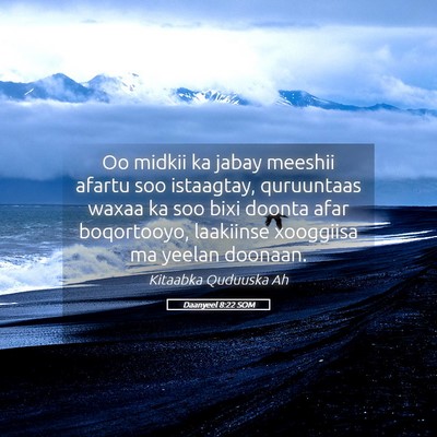 Picture 05 - Daanyeel 8:22 SOM - Oo midkii ka jabay meeshii afartu soo istaagtay, - Bible Verse Picture