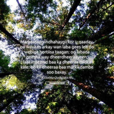 Picture 05 - Daanyeel 8:3 SOM - Markaasaan indhahaygii kor u qaaday, oo waxaan - Bible Verse Picture